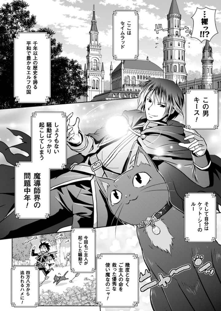 エルフの国の宮廷魔導師になれたので姫様に性的な悪戯をしてみた THE COMICのエロ漫画_3