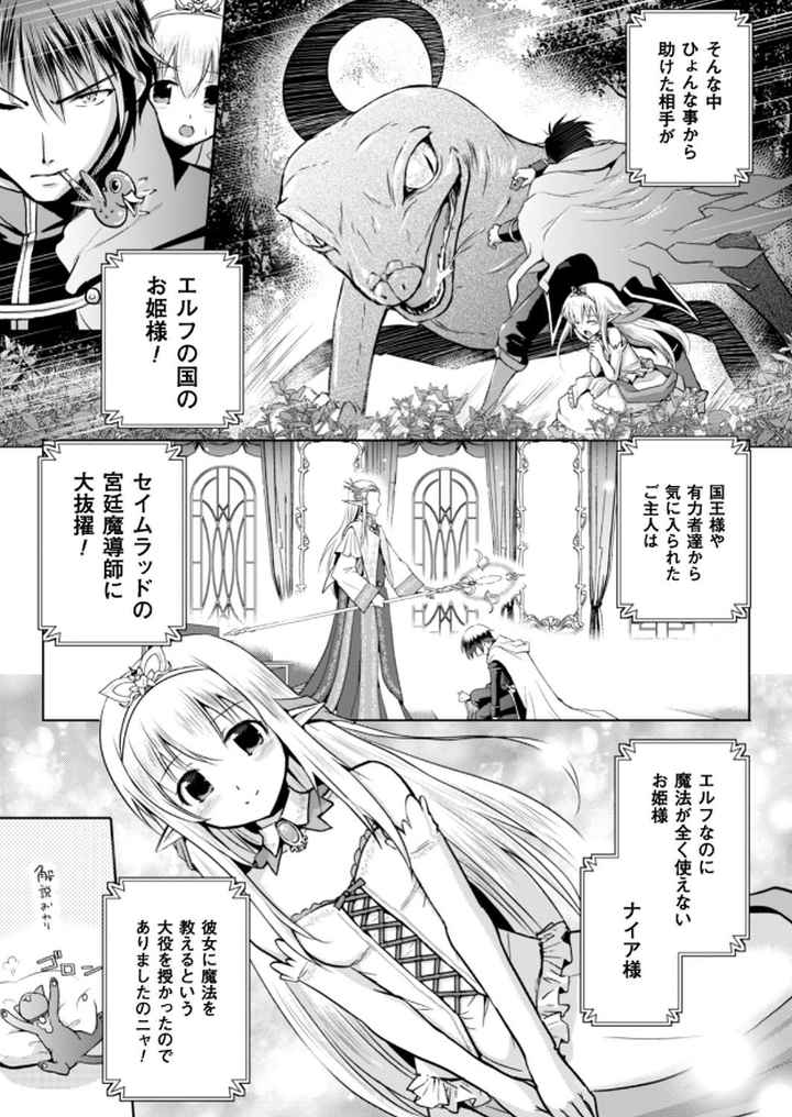 エルフの国の宮廷魔導師になれたので姫様に性的な悪戯をしてみた THE COMICのエロ漫画_4