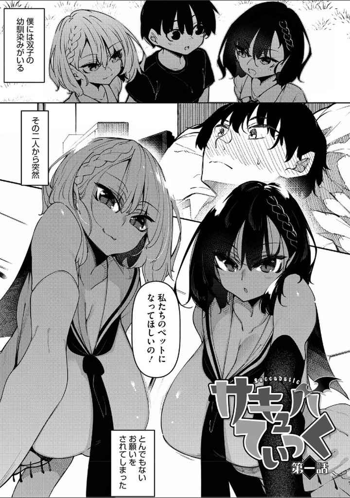 サキュバてぃっく【単行本】のエロ漫画_2